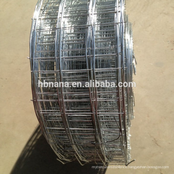 2016 Manufacturers selling stock firm 2x4 galvanized welded wire mesh